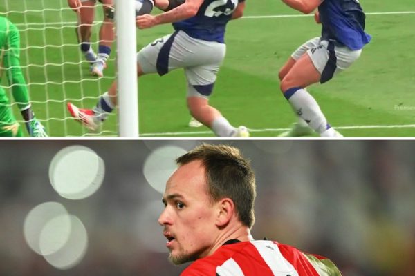 Brentford bites back